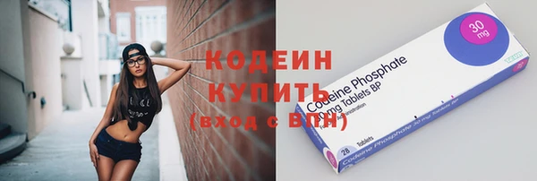 амф Вяземский