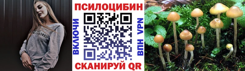 Галлюциногенные грибы мухоморы наркотики Ефремов