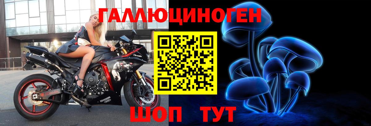 Псилоцибиновые грибы Cubensis Ефремов